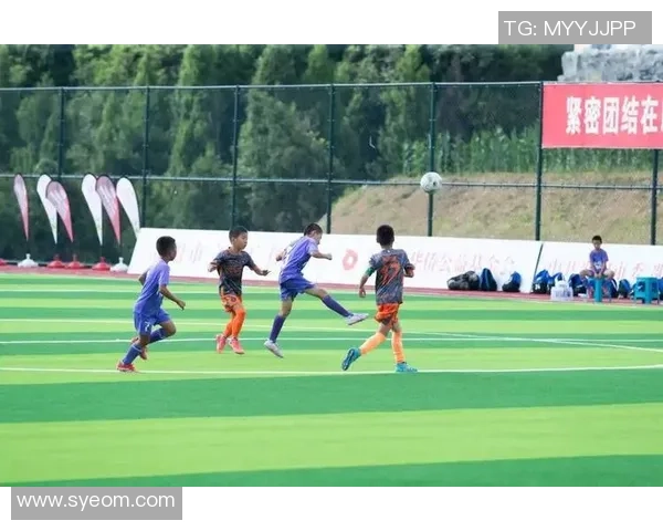 学问与球技并重的足球明星们如何在赛场内外展现智慧与才华